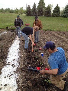 Community Service Garden 018