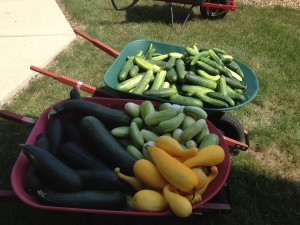 Community Garden Produce